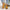 c62cc23029e2437e842e7e9879ef194a-Max-Origin