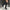 c684e206-3b9a-42c4-b9c7-011d1276b4fc-Max-Origin