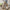 c932c1c0-46f2-4668-97c3-30212101a0d1-Max