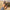 c9b795b1-69b1-430e-9679-2a39dda046cb-Max-Origin