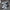 ca301b66-f5cc-40a5-84a6-33fbfeaaf607-Max-Origin