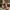 cad75739-ff66-4f5e-b74e-302179d7bb4c-Max-Origin