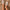cc7d4ca60e1e4f88a35e2888d6d2dc3c-Max-Origin