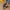 cca96587c7c840d08ba66330c4ed0b4d-Max-Origin