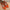 ccd90379-b3f1-4b7c-b1ee-a8cb9226ad94-Max-Origin