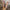 cdd4073f7fd64cb5b100b408eead1b46-Max-Origin