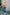 ce76e284f0464d158fad1bb354b15736-Max