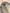 cf2895a8-9e60-4d91-b59c-041bbbbd1cc8-Max-Origin