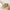 d0bdbc70262041ee921d606563e91ef8-Max-Origin