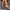 d0e12cac-1599-4bfd-88af-464463d86d09-Max-Origin