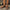 d2e98c54-1e3e-4f0f-9fe4-aacc5adec17e-Max-Origin