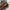 d3d15b7ea8bb47be8081252e27d4fc40-Max
