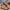 d62c74a090974136a21563e5e06daff8-Max-Origin