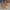 d635e1e1-f2f0-4768-b6c8-6f20a5077d04-Max