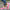 d6894aa2-5a9a-44da-aa60-b8690660654d-Max-Origin