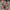 d6c79b33-cad3-4252-bef4-2a19f67b275c-Max-Origin