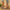 d749169715b843bf9abc7804e2cca5b8-Max-Origin