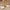 d8ab88db02c0496bb6ad7508c039d3b6-Max-Origin
