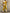 d8b4c34529fe43e58081358a3f9f2eec-Max-Origin