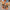 db50b264-af1a-489f-be0b-d760e4554e81-Max