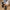 db99de680186407097781b66b6c68a21-Max-Origin