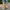 dc58c3f3-05a9-4e18-8404-7665f0b83256-Max-Origin
