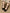 dcead74aca0344dd8a1379a3ebf74a57-Max-Origin