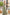 ddc1e5c701d44a1287a56f1498a0c5ed-Max-Origin