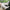 de331108-56fb-4d99-b226-0a3f62854cbf-Max-Origin