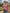 df0be3672b1d4118976a6160de0ab0bd-Max