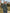 df2c164823924c54910201f763d8222d-Max