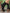 df77a4e54ad741d9836ced2c47f11ef6-Max-Origin