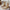 e05796dd-66e8-4862-9f68-a8c0c63360fc-Max