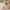 e0843d46-b903-4f2b-87d0-bb2465ae2b0b-Max