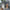 e08c31de-04a6-450a-bebd-62e87d834d95-Max-Origin