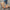 e12a80b0-cfbe-4b02-9858-c348b2b51e0a-Max