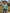 e1721c01bf6a496f8773d1bd711e1de6-Max
