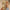 e17870b665714e84a97670b308f19208-Max-Origin