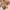 e2f1b3f16d174bd1b5bc98c81cefa2d4-Max-Origin