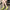 e2fcdad2-88c7-4e46-b00d-39d38dbe4ec4-Max