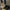 e3193567-93d9-49a4-8300-7f3d244241c4-Max