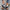 e360b451-9c6d-47d6-8552-c5128b3ca1d2-Max
