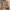 e487c987-127d-403e-bb12-892e418dfb85-Max-Origin