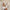 e567e5d31fd840f7b3c09e5127e3578e-Max-Origin