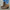 e5bb7e49-b3c2-4640-a828-b9a07ec6ad9c-Max