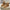 e69a3179-9b56-460e-84d4-0c61d4f0292b-Max