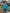 e6d0c2c9760a4cb9afbe9f008b0f6965-Max