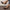 e70b67dd-fdd4-4424-b1ec-10dc4820e586-Max-Origin
