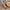 e77c6198-54de-437b-877d-c21f11afe3f1-Max