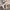 e9177566-5e14-4265-a405-1d3d1015fc97-Max-Origin